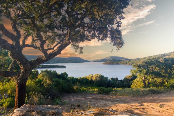 Ausblick auf den Lago Liscia in der Dämmerung